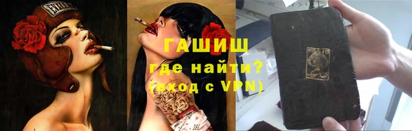 стаф Алзамай