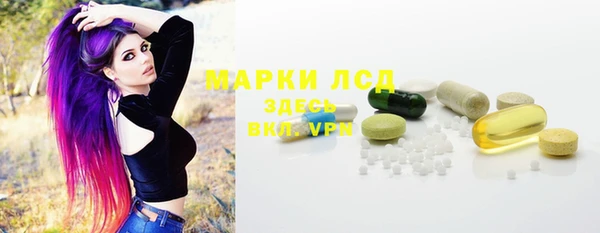 стаф Алзамай