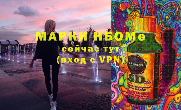 стаф Алзамай