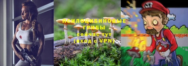 ешки Алексеевка
