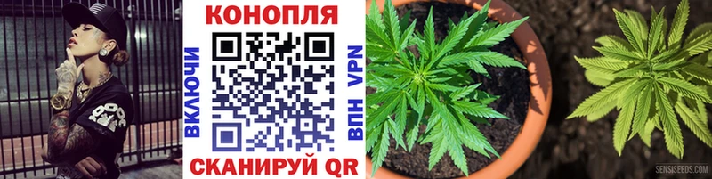 купить mega вход Каннабис OG Kush Касимов